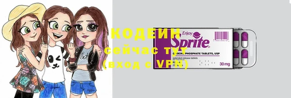 apvp Краснослободск