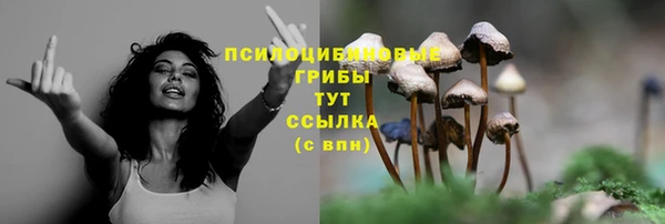 гашиш Коряжма
