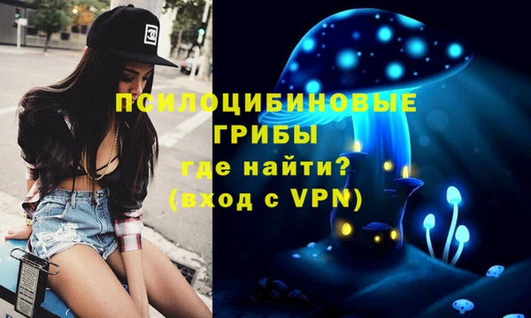 apvp Краснослободск