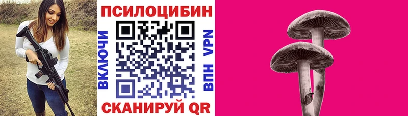 Галлюциногенные грибы Psilocybe  Купить закладки  Гай 